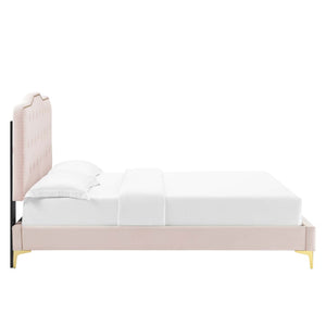 Modway Furniture Amber Performance Velvet Queen Platform Bed - Luxe Pink Upholstered Design with Button Tufting & Support MOD-6775-PNK