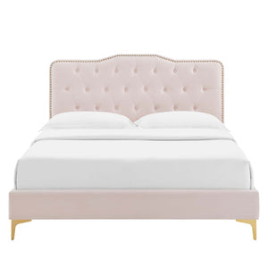 Modway Furniture Amber Performance Velvet Queen Platform Bed - Luxe Pink Upholstered Design with Button Tufting & Support MOD-6775-PNK