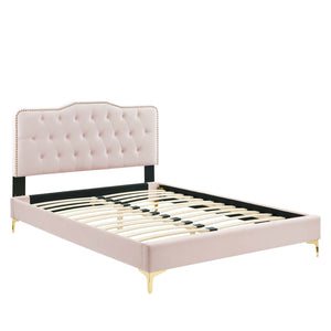 Modway Furniture Amber Tufted Performance Velvet Twin Platform Bed - Glamorous Pink Design, Stain-Resistant Comfort! MOD-6778-PNK