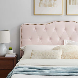 Modway Furniture Amber Full Platform Bed by Modway - Chic Pink Upholstered Design with Button Tufting & Gold Accents MOD-6781-PNK