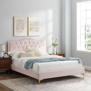 Modway Furniture Amber Full Platform Bed by Modway - Chic Pink Upholstered Design with Button Tufting & Gold Accents MOD-6781-PNK