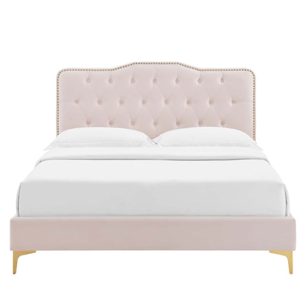 Modway Furniture Amber Full Platform Bed by Modway - Chic Pink Upholstered Design with Button Tufting & Gold Accents MOD-6781-PNK