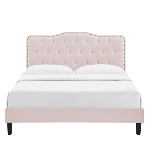 Modway Furniture Amber Performance Velvet Full Platform Bed - Glamorous Tufted Design, Stain-Resistant & Stylish Comfort MOD-6783-PNK