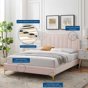 Modway Furniture Sienna Performance Velvet Twin Platform Bed - Glam Deco Style, Stain-Resistant, No Box Spring Needed MOD-6906-PNK