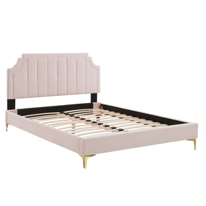 Modway Furniture Sienna Performance Velvet Twin Platform Bed - Glam Deco Style, Stain-Resistant, No Box Spring Needed MOD-6906-PNK