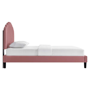 Modway Furniture Daisy Channel Tufted Performance Velvet Twin Platform Bed – Glamorous Deco Style & Durability Dusty Rose MOD-7043-DUS