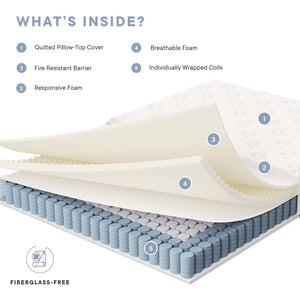 Modway Furniture Jenna 6" Innerspring and Foam Queen Mattress - Balanced Comfort, Pressure Relief & Easy Setup! MOD-7095-WHI