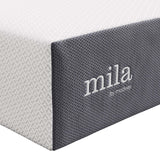 Modway Furniture Mila 12" Mattress MOD-7104-WHI