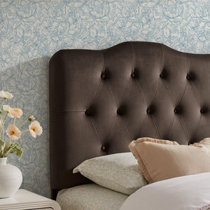 Modway Furniture Annabel Modway Button Tufted Velvet Twin Headboard with Curved Rail for Elegant Bedrooms Chocolate Brown MOD-7264-CHB
