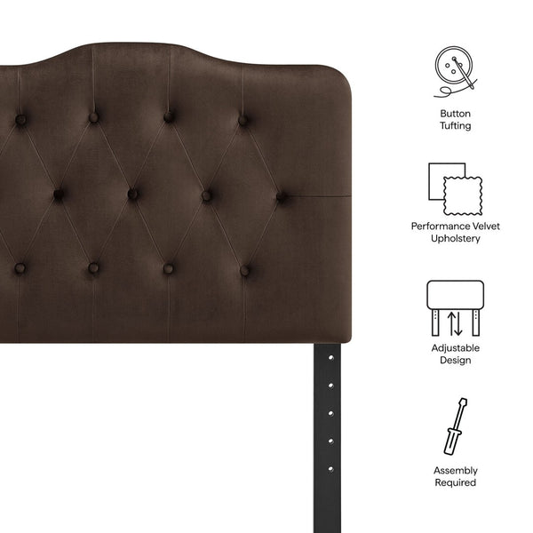 Modway Furniture Annabel Modway Button Tufted Velvet Twin Headboard with Curved Rail for Elegant Bedrooms Chocolate Brown MOD-7264-CHB