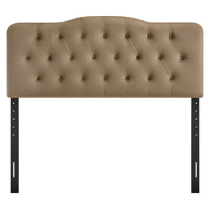 Modway Furniture Annabel Tufted Velvet Upholstered Headboard Curved Full Size Foam Padded Bedroom Accent Taupe MOD-7267-TAU