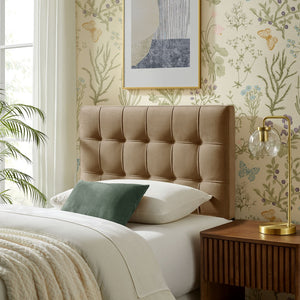Modway Furniture Lily Modway Biscuit Tufted Performance Velvet Upholstered Headboard for Teen Bedrooms Taupe MOD-7289-TAU