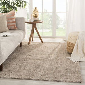 Jaipur Living Monterey Sutton Contemporary Modern Handmade Indoor Rug Tan 6'x9'