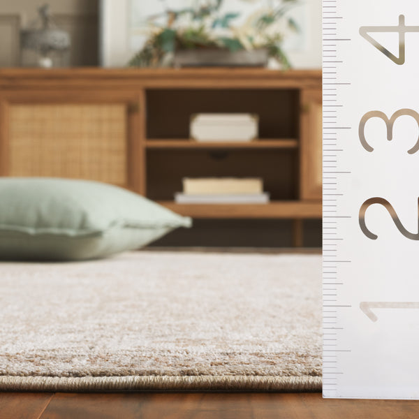 Safavieh Marigold Exquisite Turkish Area Rug With Timeless Elegance, Plush Comfort & Classic Floral Motifs Light Green ,Grey Polyester Mrg134y-10