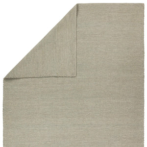 Jaipur Living Jaipur Living Envelop Handwoven Polyester Flatweave Rug Jute Look Indoor Outdoor RSW104768