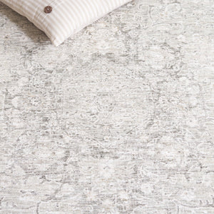 Safavieh Mason Transitional Area Rug - Timeless Elegance With Floral Motifs For Modern And Classic Interiors Beige ,Dark Grey Polyester Msn116b-8