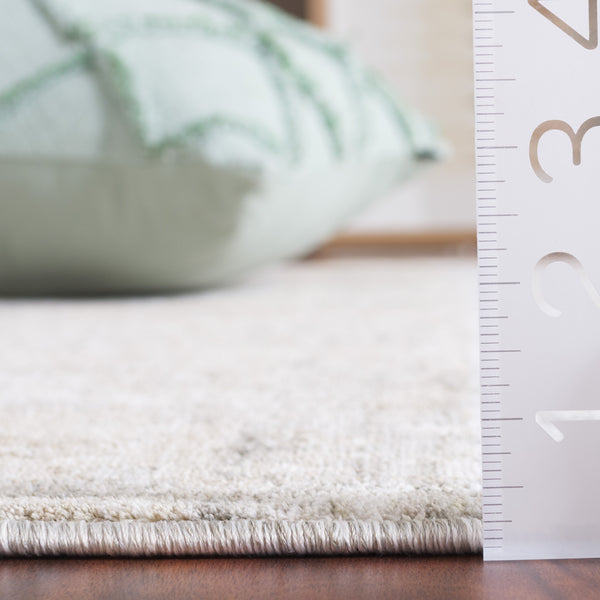 Safavieh Mason Exquisite Transitional Area Rug With Floral Motifs For Elegant Living Spaces, Durable & Soft Beige ,Dark Grey Polyester Msn117b-6r