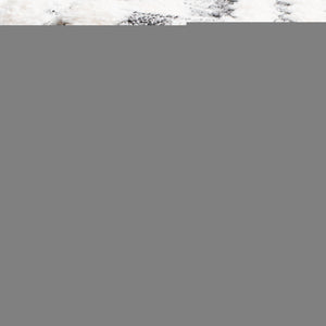 Safavieh Moroccan Tassel Shag Area Rug - Luxurious 2" High Plush Design With Timeless Elegance & Comfort Ivory ,Grey Polypropylene Pile Mts610a-7r