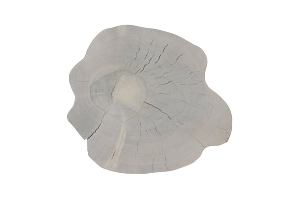 Phillips Collection Arruga Carved Wood Wall Art with Bleached Grain Rings for Coastal Minimalist Decor Brown, Off White 16 L x 2 W x 19 H MX121874