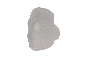 Phillips Collection Arruga Carved Wood Wall Art with Bleached Grain Rings for Coastal Minimalist Decor Brown, Off White 16 L x 2 W x 19 H MX121874
