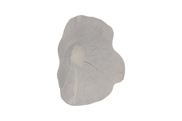 Phillips Collection Arruga Carved Wood Wall Art with Bleached Grain Rings for Coastal Minimalist Decor Brown, Off White 16 L x 2 W x 19 H MX121874