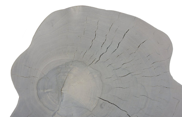 Phillips Collection Arruga Carved Wood Wall Art with Bleached Grain Rings for Coastal Minimalist Decor Brown, Off White 16 L x 2 W x 19 H MX121874