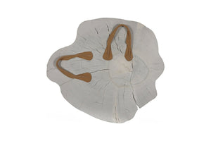 Phillips Collection Arruga Carved Wood Wall Art with Bleached Grain Rings for Coastal Minimalist Decor Brown, Off White 16 L x 2 W x 19 H MX121874