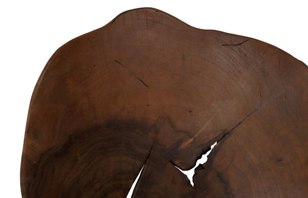 Phillips Collection Arruga Carved Wood Wall Art with Bleached Grain Rings for Coastal Minimalist Decor Brown 16 L x 2 W x 19 H MX121875