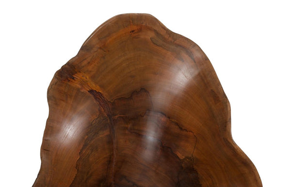 Phillips Collection Arruga Carved Wood Wall Art with Bleached Grain Rings for Coastal Minimalist Decor Brown 18 L x 3 W x 22 H MX121878