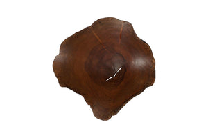 Phillips Collection Arruga Carved Wood Wall Art with Bleached Grain Rings for Coastal Minimalist Decor Brown 24 L x 4 W x 27 H MX121881