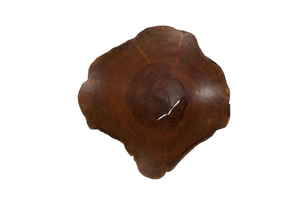 Phillips Collection Arruga Carved Wood Wall Art with Bleached Grain Rings for Coastal Minimalist Decor Brown 24 L x 4 W x 27 H MX121881