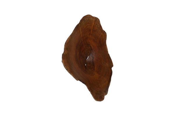 Phillips Collection Arruga Carved Wood Wall Art with Bleached Grain Rings for Coastal Minimalist Decor Brown 24 L x 4 W x 27 H MX121881