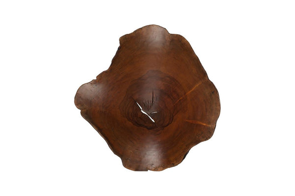 Phillips Collection Arruga Carved Wood Wall Art with Bleached Grain Rings for Coastal Minimalist Decor Brown 24 L x 4 W x 27 H MX121881
