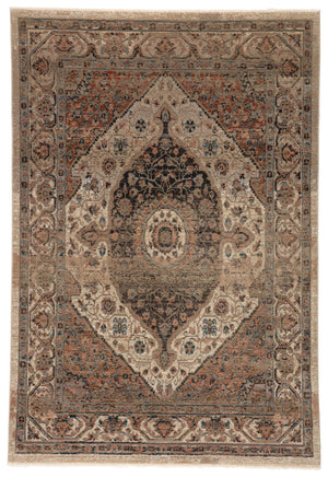 Jaipur Living Vibe by Jaipur Living Irenea Distressed Medallion Rug Fringed Vintage Turkish Style 5' X 7'6" RUG146769