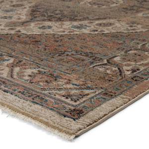 Jaipur Living Vibe by Jaipur Living Irenea Distressed Medallion Rug Fringed Vintage Turkish Style 5' X 7'6" RUG146769