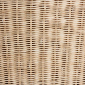 Rustic Mango Wood Wingback Dining Chair with Rattan Weave and Removable Cushion