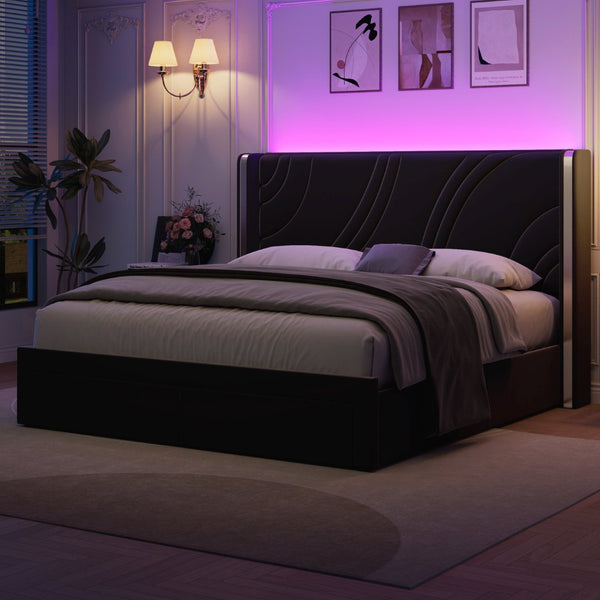 English Elm Queen Velvet Wingback Storage Bed with RGB Lighting Foam Padded Headboard Platform Black N701P286697B