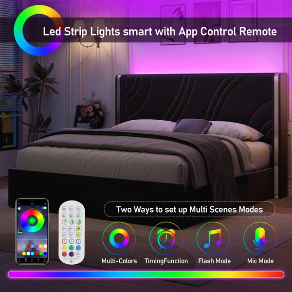English Elm Queen Velvet Wingback Storage Bed with RGB Lighting Foam Padded Headboard Platform Black N701P286697B