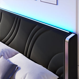 English Elm Queen Velvet Wingback Storage Bed with RGB Lighting Foam Padded Headboard Platform Black N701P286697B