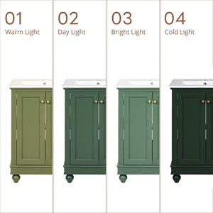 English Elm 24 Inch Bathroom Vanity with Ceramic Sink Carved Legs Soft Close Cabinet Storage Green N710P446524F