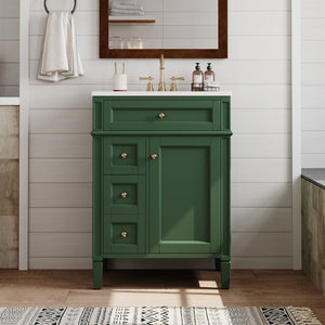 English Elm 24 Inch French Inspired Bathroom Vanity with Ceramic Sink Soft Close Drawers and Cabinet Green N710P458431F