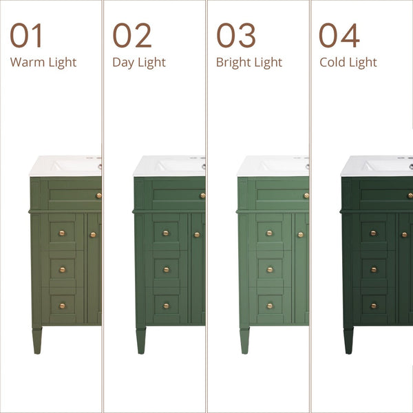 English Elm 24 Inch French Inspired Bathroom Vanity with Ceramic Sink Soft Close Drawers and Cabinet Green N710P458431F