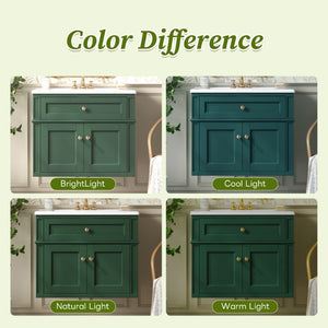 English Elm 24 Inch Wall Mounted Bathroom Vanity Sage Green Cabinet with Ceramic Sink Soft Close N710P460692F