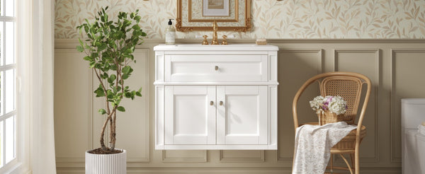 English Elm 24 Inch Wall Mounted Bathroom Vanity with Ceramic Sink Soft Close Doors Open Back Cabinet White N710P460692K
