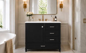 English Elm 36 Inch Freestanding Bathroom Vanity Solid Wood Frame Ceramic Sink Soft Close Storage Black N729P000041B