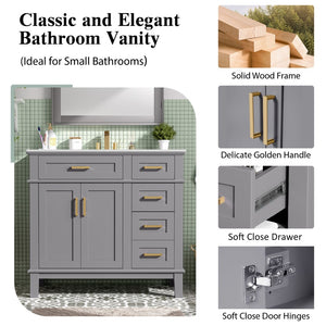 English Elm 36 Inch Gray Bathroom Vanity Solid Wood Frame Ceramic Sink Soft Close Drawers Modern Bath N729P380151E