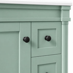 English Elm 24 Inch Modern Bathroom Vanity Solid Pine Cabinet Ceramic Sink Soft Close Storage Green N729P515976F