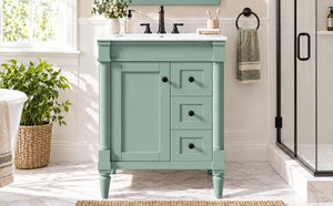 English Elm 24 Inch Modern Bathroom Vanity Solid Pine Cabinet Ceramic Sink Soft Close Storage Green N729P515976F
