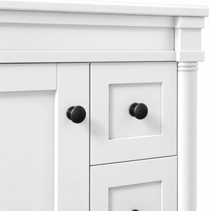 English Elm 24 Inch Modern Bathroom Vanity Solid Pine Cabinet Ceramic Sink Soft Close Storage White N729P515976K
