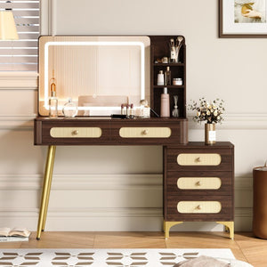 English Elm 47''Vintage Rattan Dressing Table with Lighted Mirror Five Drawers and Open Shelving Brown N733P457533D
